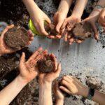 Smart Green Trees: cómo inspirar a niños y mayores para regenerar los bosques de España a través de talleres de Nendo Dango